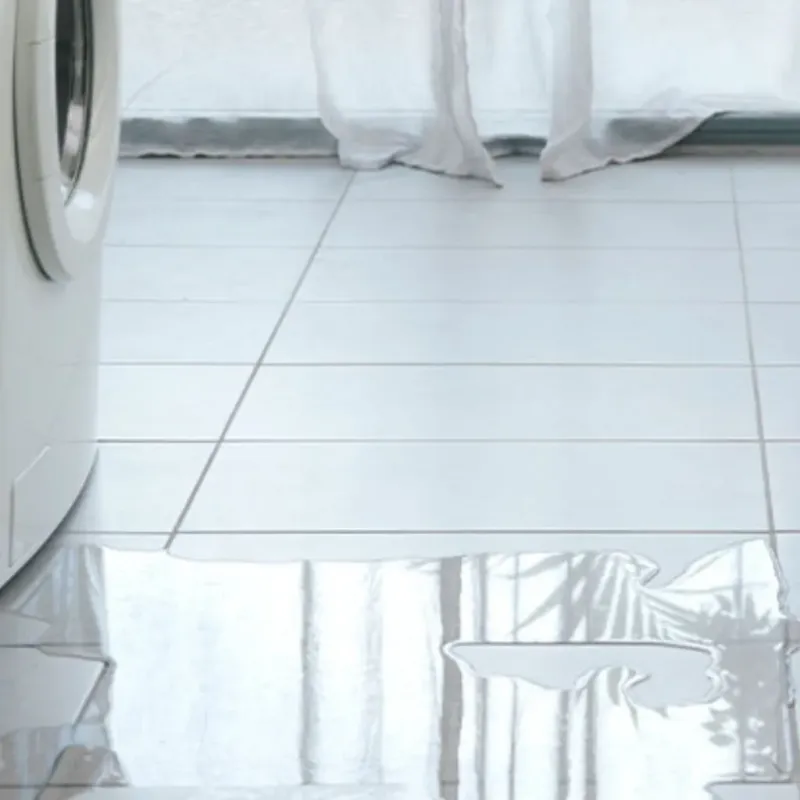 Appliance Leak Cleanup in Algonquin, IL