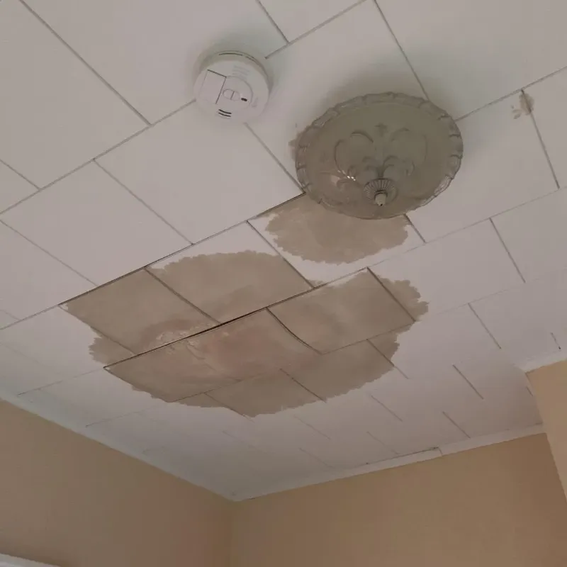 Ceiling Water Damage Repair in Algonquin, IL