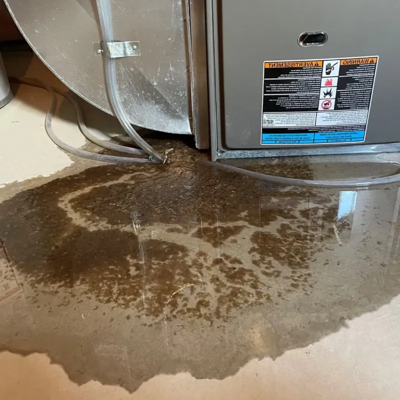 Pipe Burst and Leak Restoration in Algonquin, IL